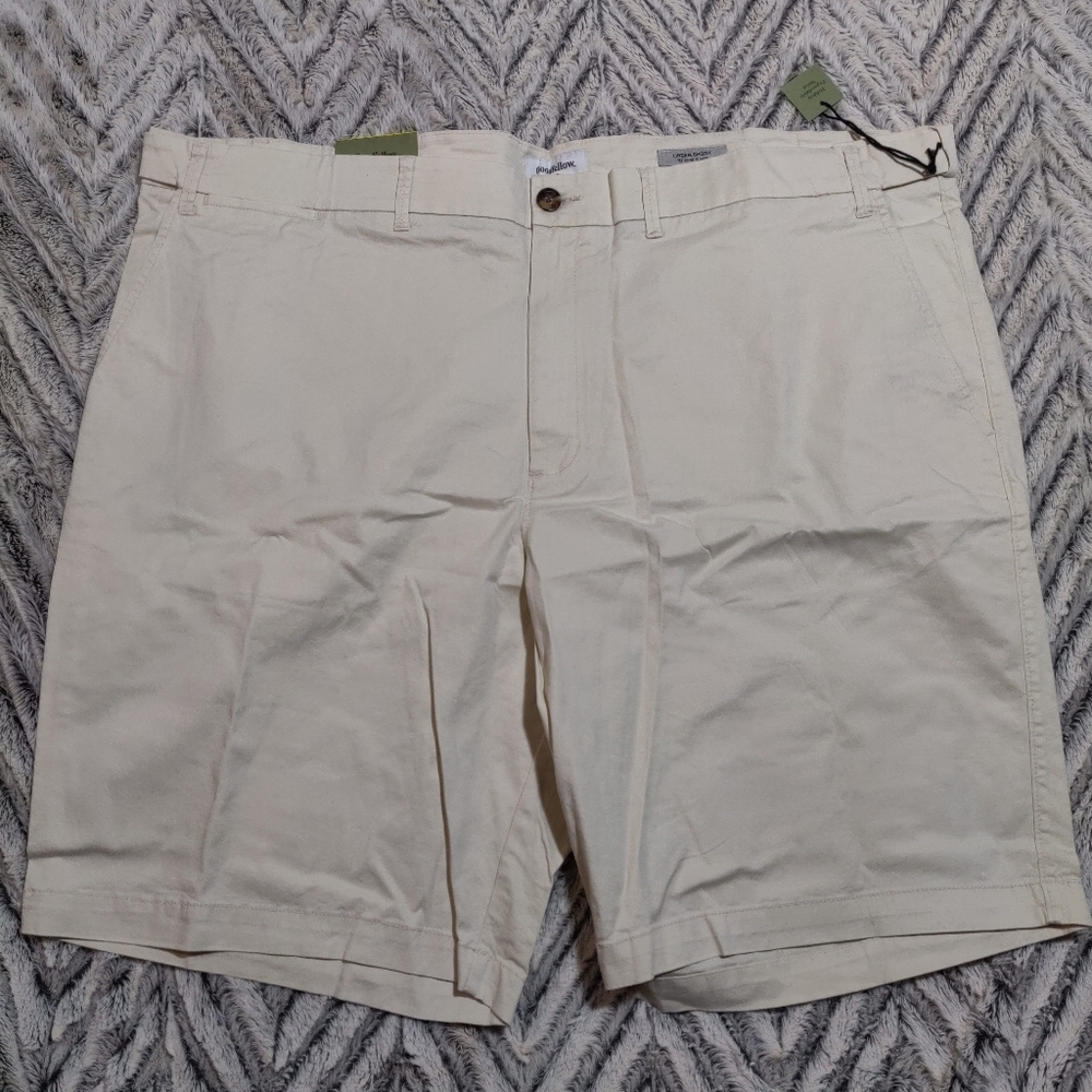 Nwt Men's Goodfellow & Co size 48 shorts
